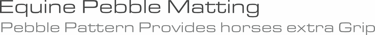 Equine Pebble Mat